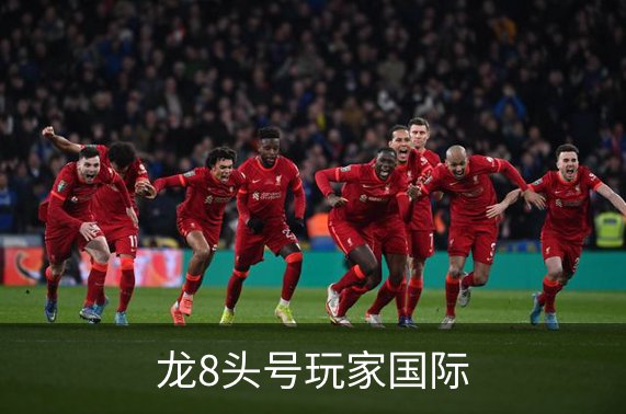 龙8头号玩家国际简介